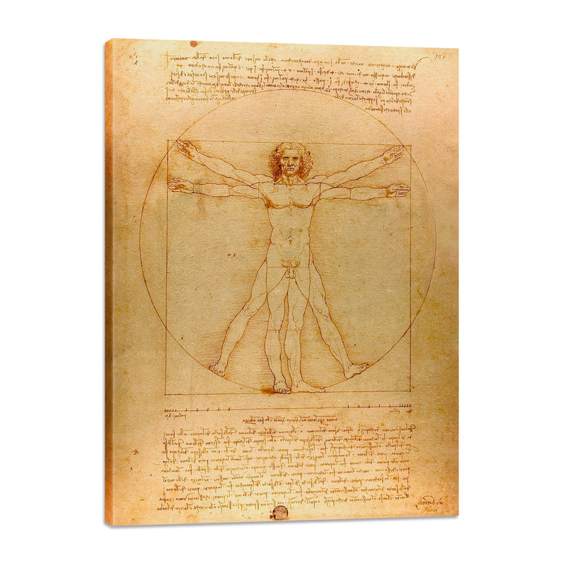 Hombre de Vitruvio - Leonardo Da Vinci