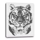 Tigre en blanco y negro