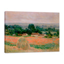 Alpaca en Giverny - Monet