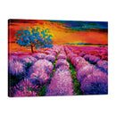 Atardecer en Campo de Lavandas