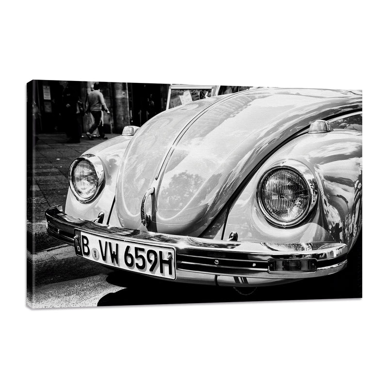 Bocho de exhibición Blanco y Negro