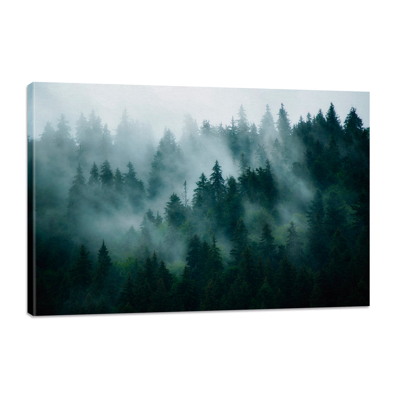 Bosque con Neblina