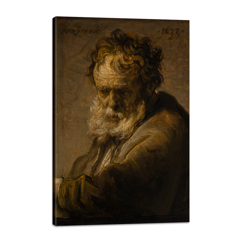 Busto de anciano con Barba - Rembrandt