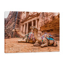 Camellos en la Ciudad de Petra