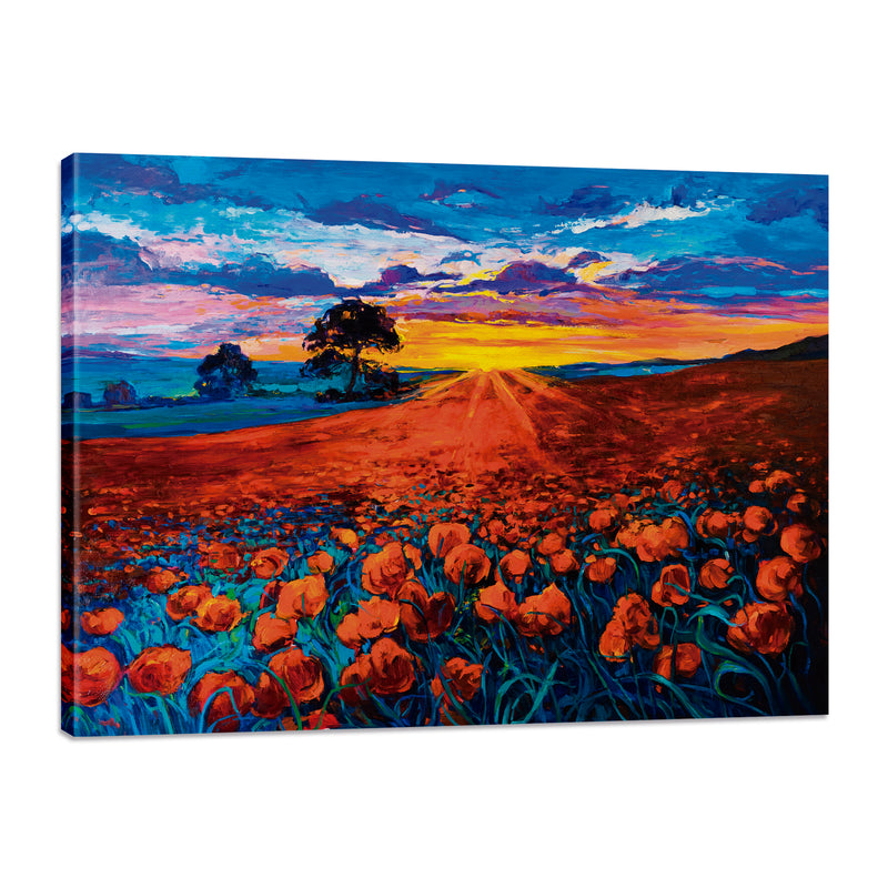 Campo de Amapolas