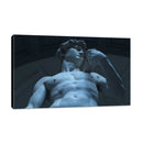 David a Detalle - Miguel Ángel