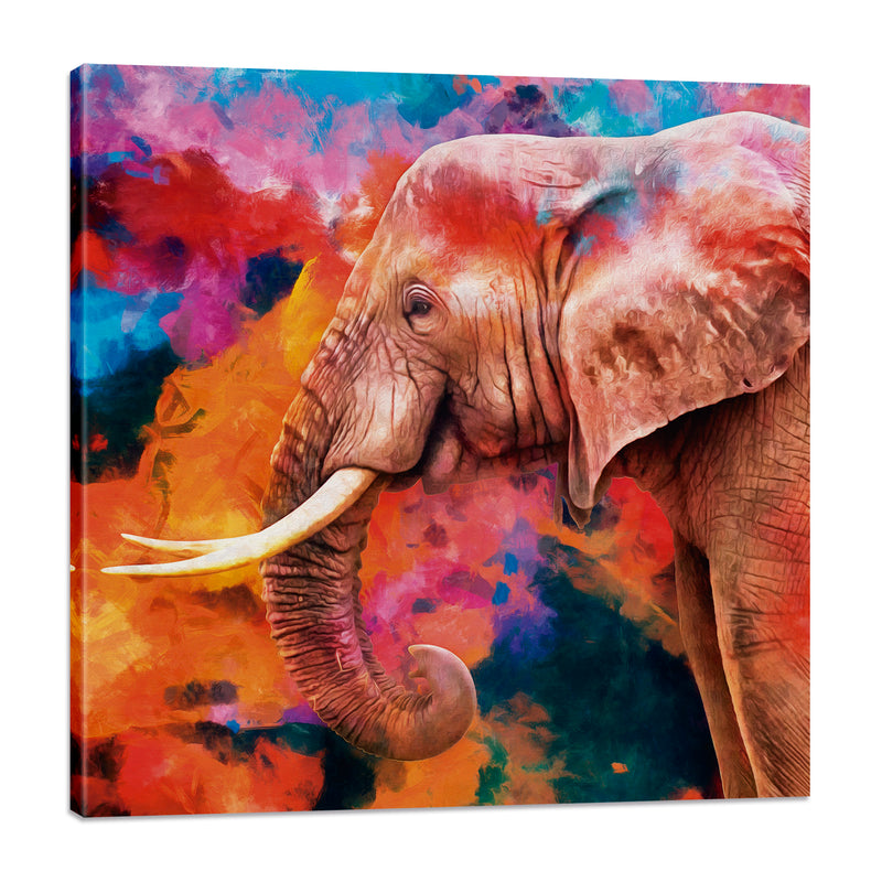 Elefante Colorido
