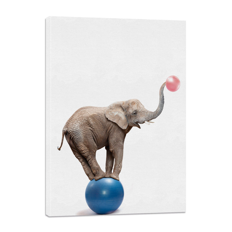 Elefante sobre Pelota con Chicle
