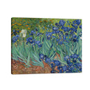 Irises - Vincent Van Gogh
