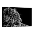 Jaguar de Perfil Blanco y Negro