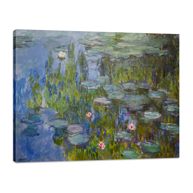 Lirios de Agua - Monet