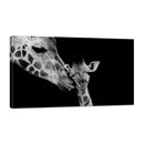 Mamá y Bebé Jirafa