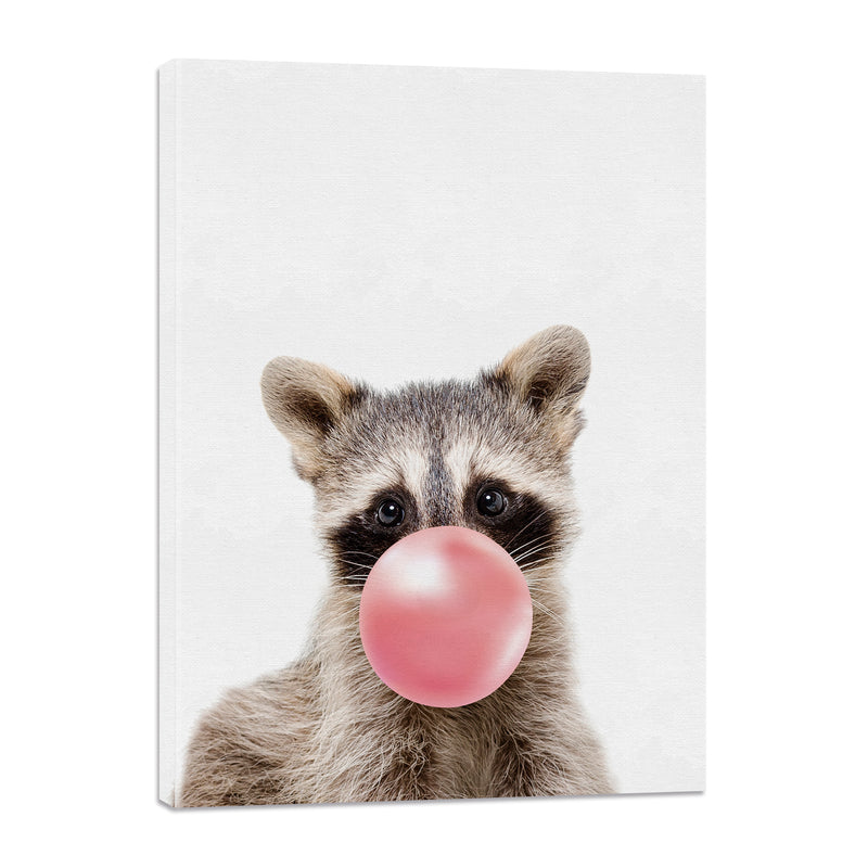 Mapache con Chicle