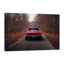 Mustang 1967 en Bosque (Frontal)