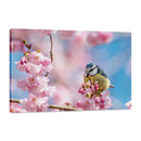 Pájaro sobre Flores de Cerezo