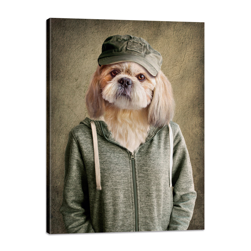 Perro con Sudadera