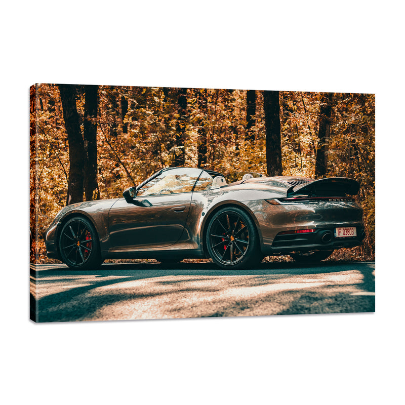 Porsche en carretera frente al bosque