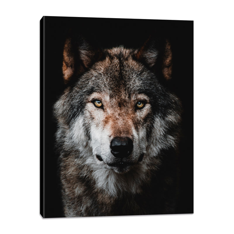 Retrato de un Lobo