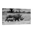 Rinocerontes en Parque Nacional de Lago Nakuru