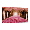 Sendero de Flor de Cerezo