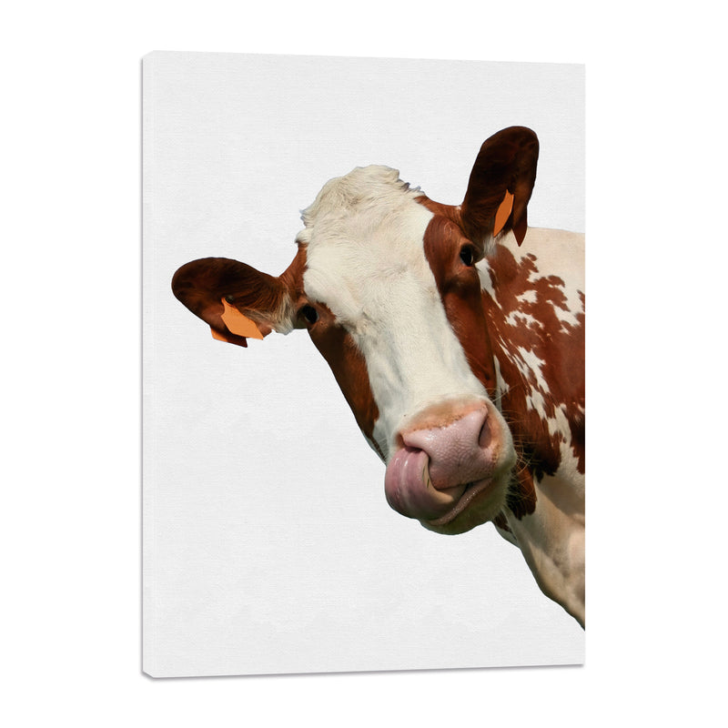 Vaca Asomada