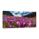 Valle en la Montaña