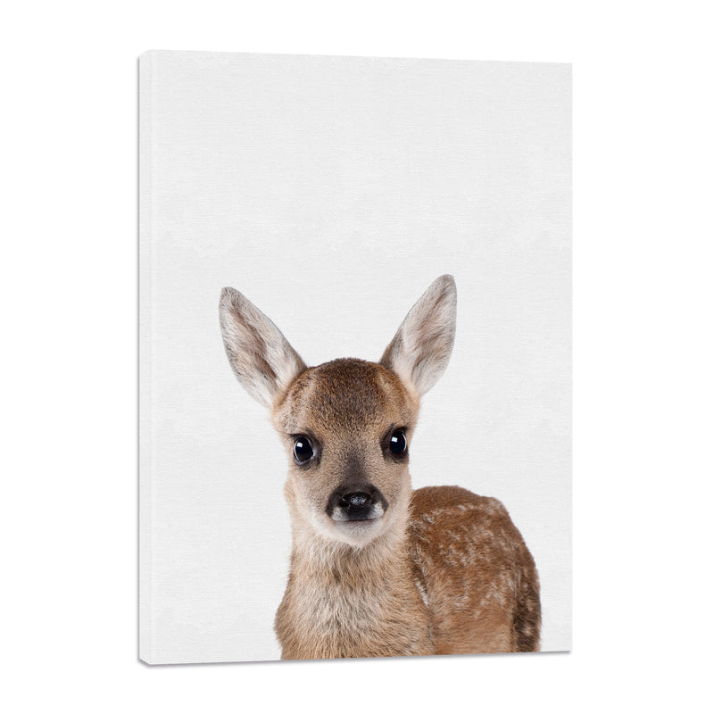 Venado