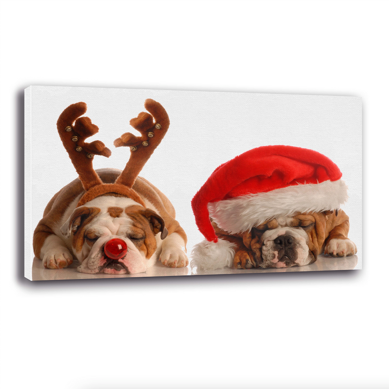 Bullies navideños